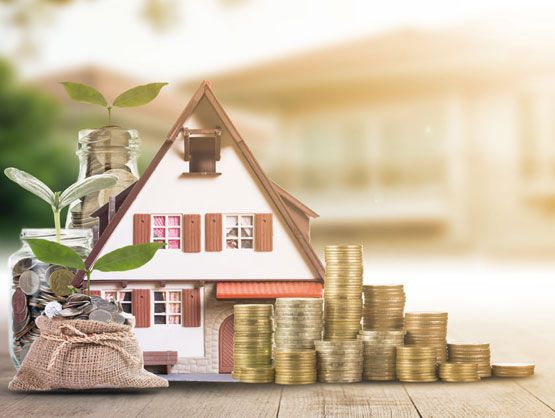 Massivholzhaus von Schubert + Kühn